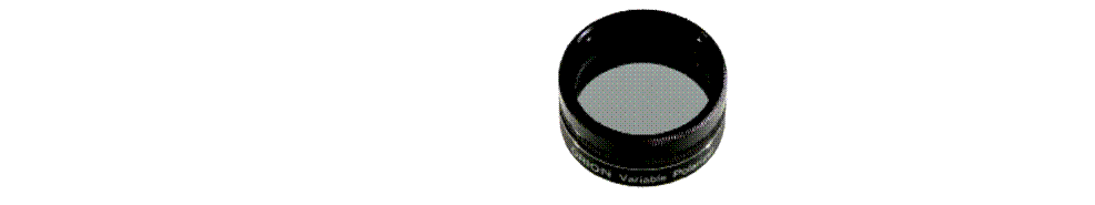 Text Box:  