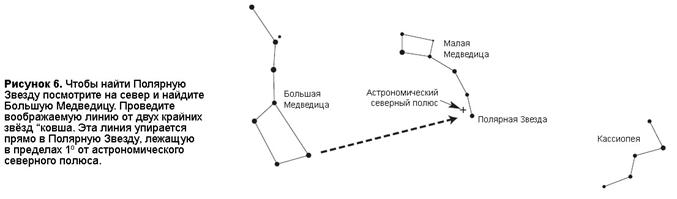 Какой тип развития для медведицы